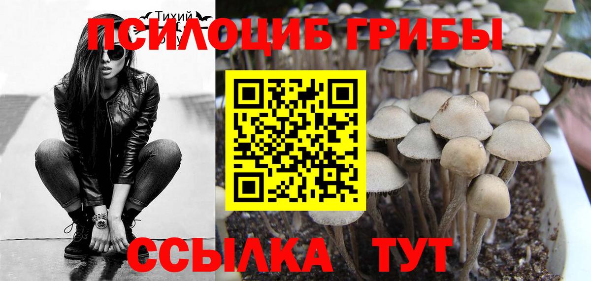 Галлюциногенные грибы Cubensis  Вход с VPN  Димитровград 